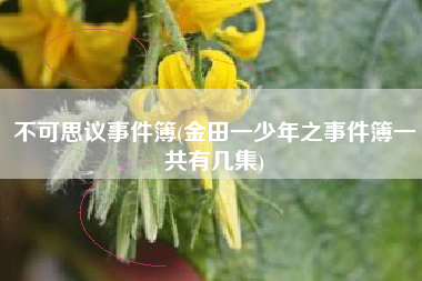不可思议事件簿(金田一少年之事件簿一共有几集)