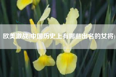 欧美激战(中国历史上有哪些出名的女将)