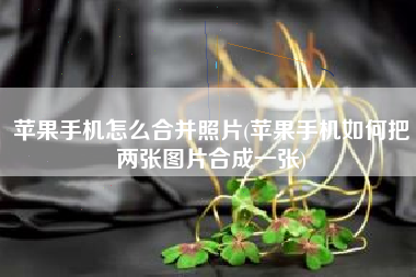 苹果手机怎么合并照片(苹果手机如何把两张图片合成一张)