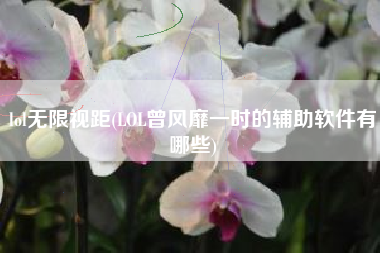 lol无限视距(LOL曾风靡一时的辅助软件有哪些)