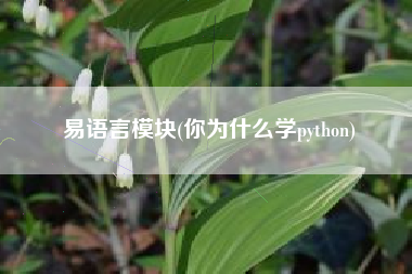 易语言模块(你为什么学python)