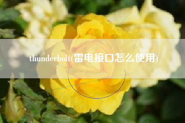 thunderbolt(雷电接口怎么使用)