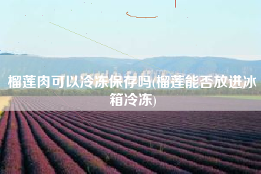 榴莲肉可以冷冻保存吗(榴莲能否放进冰箱冷冻)