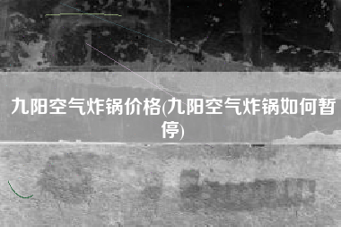 九阳空气炸锅价格(九阳空气炸锅如何暂停)
