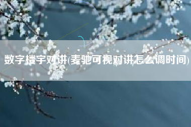 数字楼宇对讲(麦驰可视对讲怎么调时间)