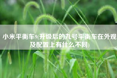 小米平衡车9(升级后的九号平衡车在外观及配置上有什么不同)