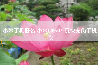 小米手机好么(小米12Pro120瓦快充伤手机吗)