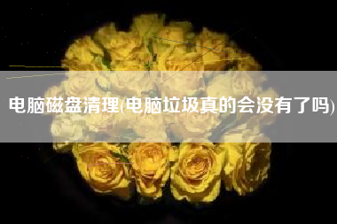 电脑磁盘清理(电脑垃圾真的会没有了吗)