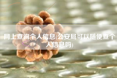 网上查询个人信息(公安局可以随便查个人信息吗)
