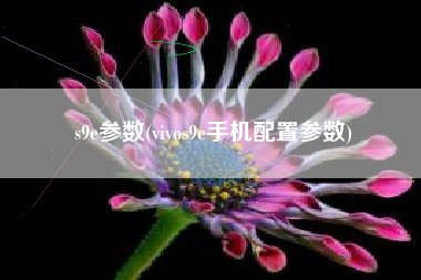 s9e参数(vivos9e手机配置参数)