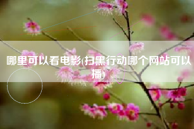 哪里可以看电影(扫黑行动哪个网站可以播)