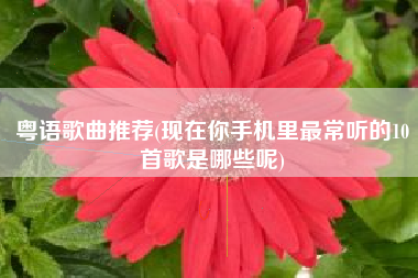 粤语歌曲推荐(现在你手机里最常听的10首歌是哪些呢)