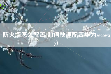 防火墙怎么配置(如何快速配置华为secoway)