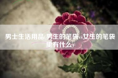 男士生活用品(男生的笔袋vs女生的笔袋里有什么)