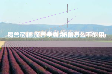 魔兽密籍(魔兽争霸3秘籍怎么不能用)