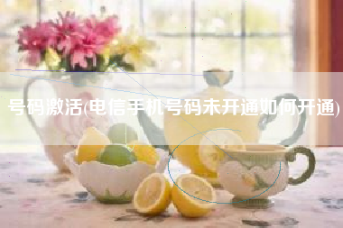 号码激活(电信手机号码未开通如何开通)
