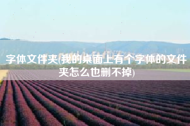 字体文件夹(我的桌面上有个字体的文件夹怎么也删不掉)