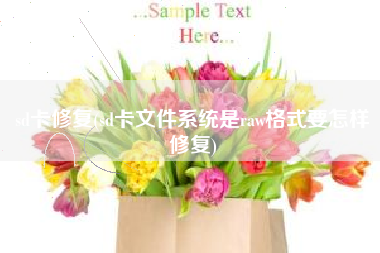 sd卡修复(sd卡文件系统是raw格式要怎样修复)