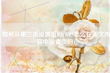 如何从第三页设置页码(WPS怎么在正文内容中设置页码)