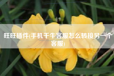 旺旺插件(手机千牛客服怎么转接另一个客服)