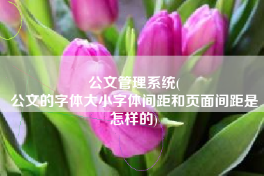 公文管理系统(
公文的字体大小字体间距和页面间距是怎样的) 公文管理系统(
公文的字体大小字体间距和页面间距是怎样的)