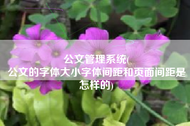 公文管理系统(
公文的字体大小字体间距和页面间距是怎样的) 公文管理系统(
公文的字体大小字体间距和页面间距是怎样的)
