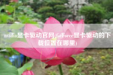 nvidia显卡驱动官网(GeForce显卡驱动的下载位置在哪里)