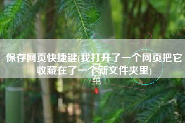 保存网页快捷键(我打开了一个网页把它收藏在了一个新文件夹里)