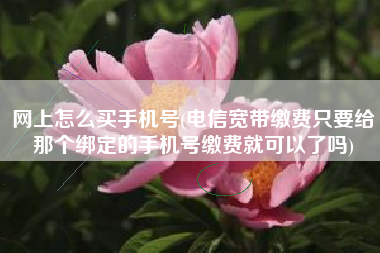 网上怎么买手机号(电信宽带缴费只要给那个绑定的手机号缴费就可以了吗)