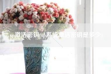 xp激活密钥(xp系统激活密钥是多少)