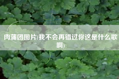 肉蒲团图片(我不会再错过你这是什么歌啊)