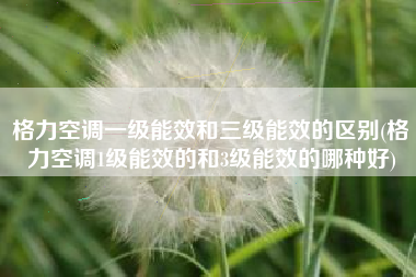 格力空调一级能效和三级能效的区别(格力空调1级能效的和3级能效的哪种好)