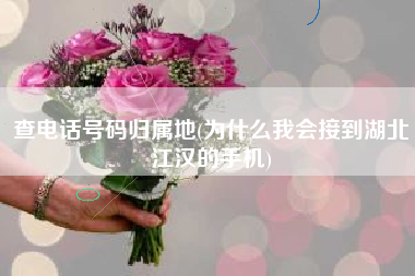 查电话号码归属地(为什么我会接到湖北江汉的手机)