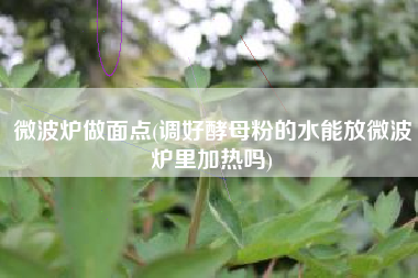 微波炉做面点(调好酵母粉的水能放微波炉里加热吗)