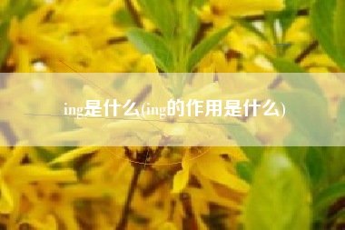 ing是什么(ing的作用是什么)