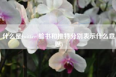 什么是twitter(脸书和推特分别表示什么意思)