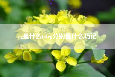 cg是什么(atcg分别是什么巧记)