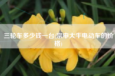 三轮车多少钱一台(宗申大牛电动车的价格)