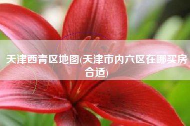 天津西青区地图(天津市内六区在哪买房合适)