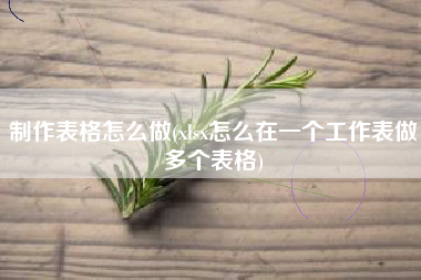 制作表格怎么做(xlsx怎么在一个工作表做多个表格)