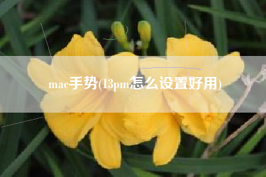 mac手势(13pm怎么设置好用)