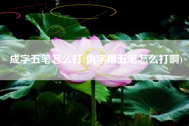 成字五笔怎么打(伪字用五笔怎么打啊)