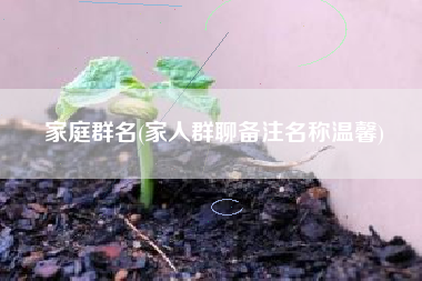 家庭群名(家人群聊备注名称温馨)