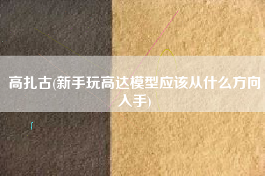 高扎古(新手玩高达模型应该从什么方向入手)