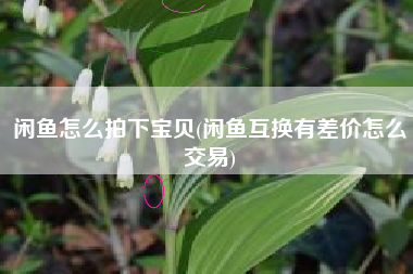闲鱼怎么拍下宝贝(闲鱼互换有差价怎么交易)