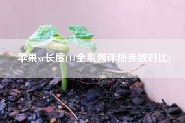 苹果xr长度(11全系列详细参数对比)