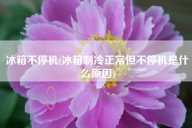 冰箱不停机(冰箱制冷正常但不停机是什么原因)