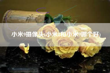 小米9摄像头(小米8和小米9哪个好)
