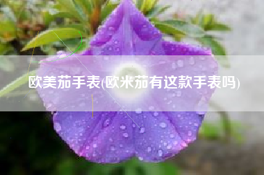 欧美茄手表(欧米茄有这款手表吗)