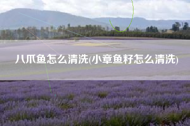 八爪鱼怎么清洗(小章鱼籽怎么清洗)